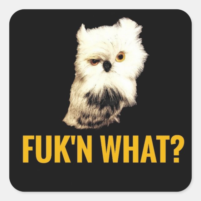 Adesivo Quadrado Porra, o quê? (Frente)