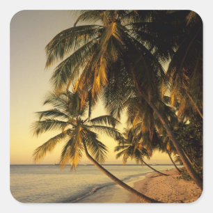 Adesivo Quadrado Praia ao pôr do sol, Trinidad