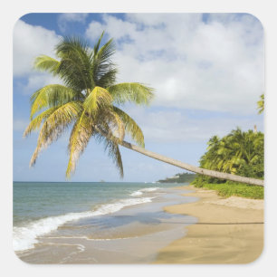 Adesivo Quadrado Praia Coconut Grove na Baía de Cades, com St. 2