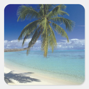 Adesivo Quadrado Praia de Matira na ilha de Bora Bora, Sociedade