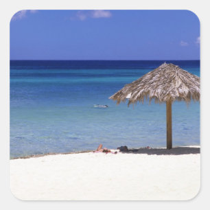 Adesivo Quadrado Praia Malmok, Aruba, Antilhas Holandesas