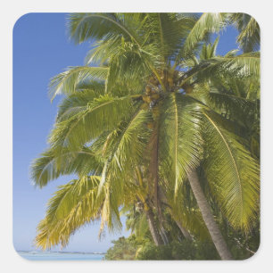 Adesivo Quadrado Praia na Ilha de Um Pé, Aitutaki, Ilhas Cook
