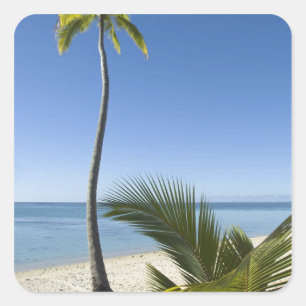 Adesivo Quadrado Praia no continente Aitutaki, Ilhas Cook