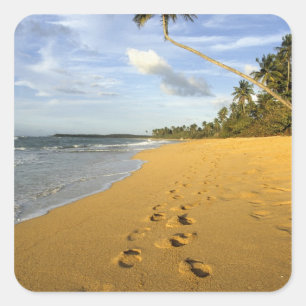 Adesivo Quadrado Praia Porto Rico