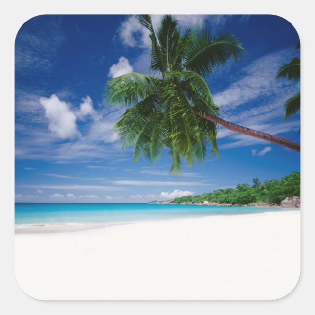 Adesivo Quadrado Praia Tropical | Seicheles (Frente)