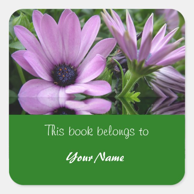 Adesivo Quadrado prato de livro, flores de margarida roxa (Frente)