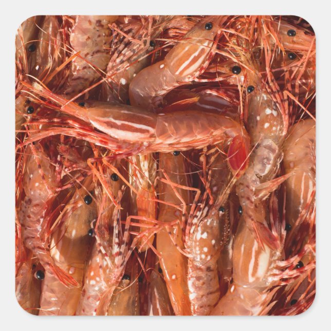 Adesivo Quadrado Prawns Deliciosos (Frente)