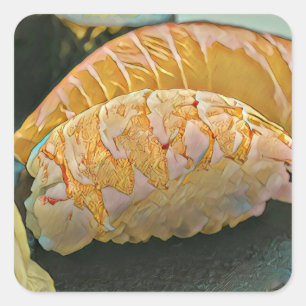 Adesivo Quadrado Presente de amante Sushi