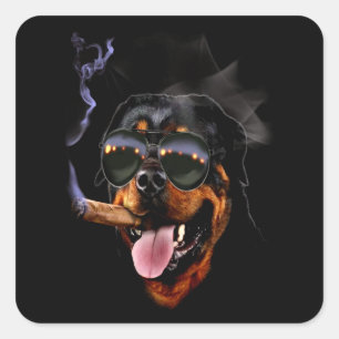 Adesivo Quadrado Presente de cachorro  Pequeno amigo rottweiler