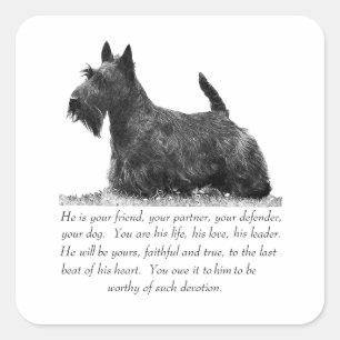 Adesivo Quadrado Presente de Terrier Escocês - Cão MACHO