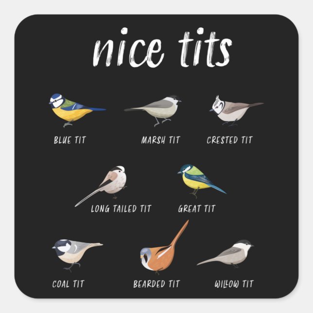 Adesivo Quadrado Presente engraçado de observação de pássaros para  (Frente)