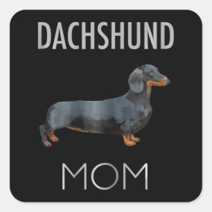 Adesivo Quadrado Presente no cão Cão-mãe-Dachshund