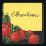 Adesivo Quadrado Preservação de Frutas STRAWBERRIS,Canning<br><div class="desc">Elaboração colorida da safra para conservação de frutas vermelhas,  compota,  rótulos jar.</div>