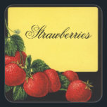 Adesivo Quadrado Preservação de Frutas STRAWBERRIS,Canning<br><div class="desc">Elaboração colorida da safra para conservação de frutas vermelhas,  compota,  rótulos jar.</div>