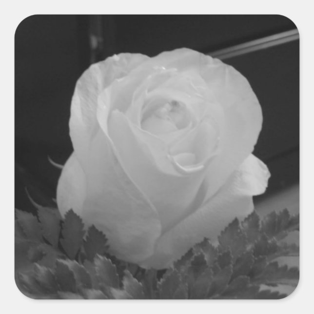 Adesivo Quadrado Preto e Branco (Frente)