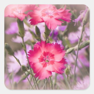 Adesivo Quadrado Primavera floral