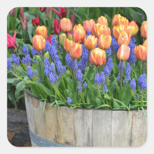 Adesivo Quadrado Primavera tulipa impressão de jardim de tulipa