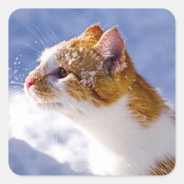 Adesivo Quadrado primeiro inverno