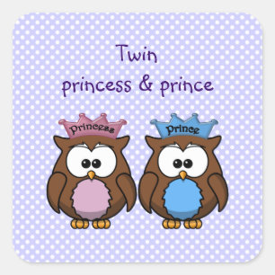 Adesivo Quadrado princesa & príncipe gêmeos da coruja