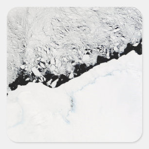 Adesivo Quadrado Príncipe do leste Olav Costa do ½ s do ¿ Â de