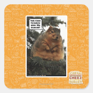 Adesivo Quadrado Pronto para o inverno