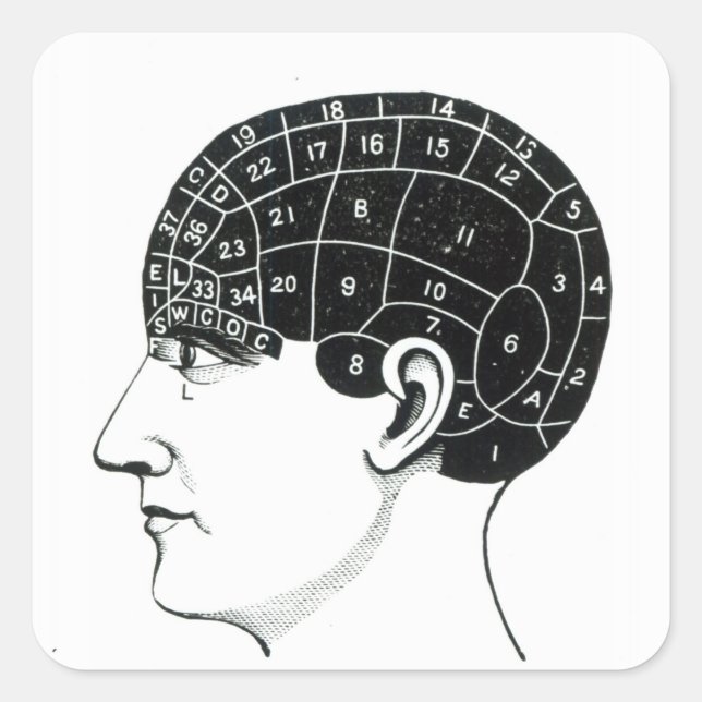 Adesivo Quadrado Propenidades internas (Frente)