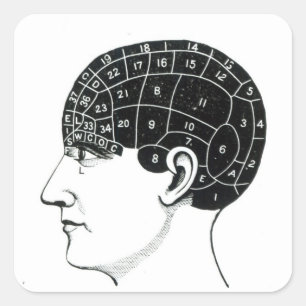 Adesivo Quadrado Propenidades internas