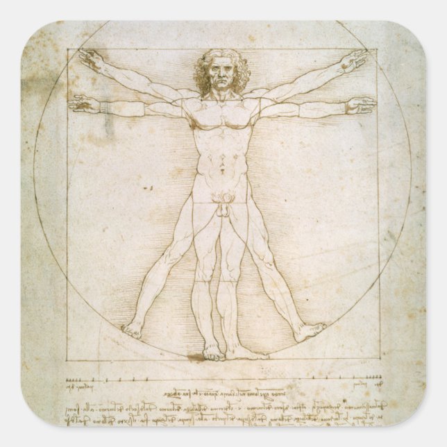 Adesivo Quadrado Proporções do número humano (Frente)