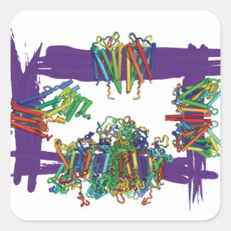 Adesivo Quadrado Proteínas De Membrana Através De Vinhetas De Caixa