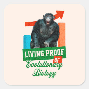 Adesivo Quadrado Prova viva da Biologia Evolutiva Chimp Engraçado