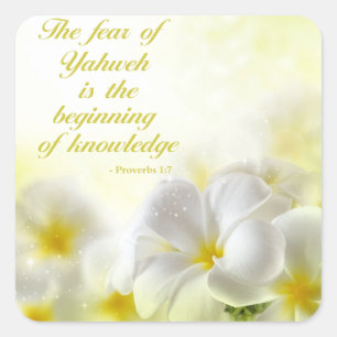 Adesivo Quadrado Provérbios 1:7 Bíblia Versa Cotação