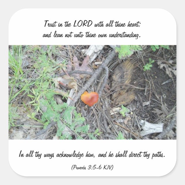 Adesivo Quadrado Provérbios 3:5-6 (Frente)