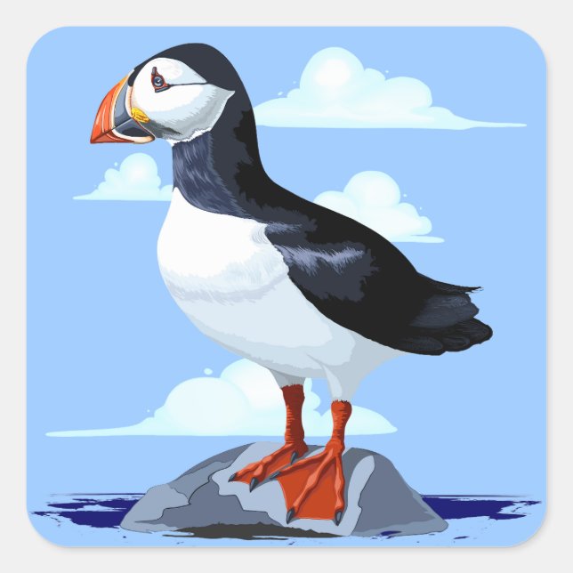 Adesivo Quadrado Puffin Cute Atlantic Seabird (Frente)