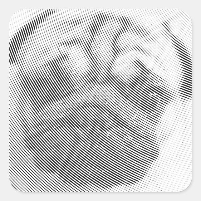 Adesivo Quadrado Pug Face (Frente)
