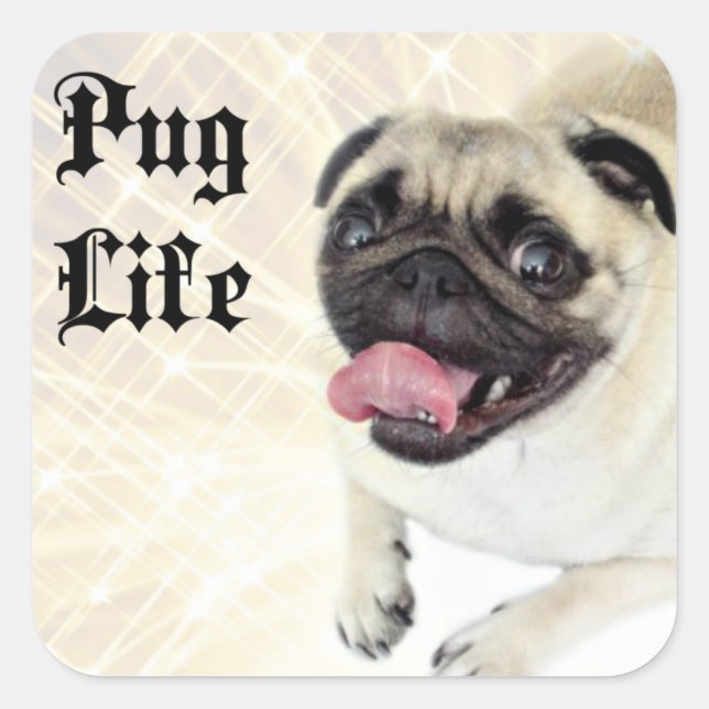Adesivo Quadrado Pug Life (Frente)