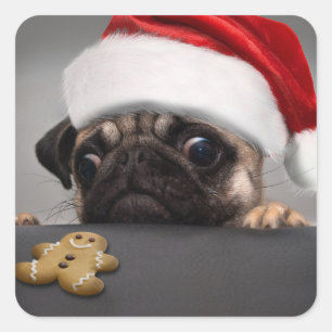 Adesivo Quadrado Pug Natal