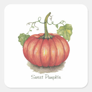 Adesivo Quadrado Pumpkin Bonito Com Vinhas Em Aquarela
