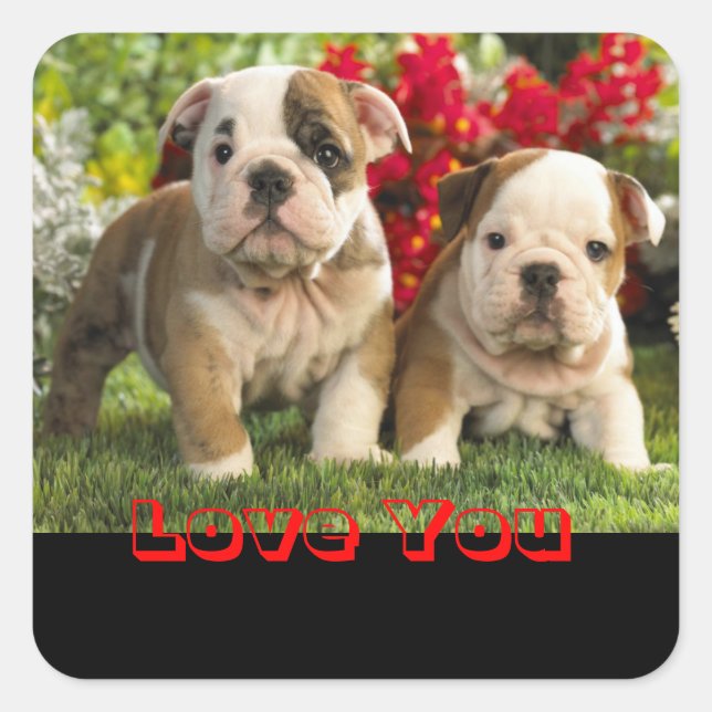 Adesivo Quadrado Pupppy Dog Greeting Sticker (Frente)