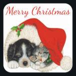 Adesivo Quadrado Puppy e Kitten Merry Christmas Sticker<br><div class="desc">Os "Puppy and Kitten Merry Christmas Stickers" são perfeitos para acrescentar aos seus cartões de saudação, pacotes e outros artigos de férias. O design apresenta um filhote fofinho e um gatinho rapado juntos num chapéu de Papai Noel. Personalize o texto conforme desejado. Excelente para uso em pessoas ou presentes de...</div>