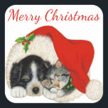 Adesivo Quadrado Puppy e Kitten Merry Christmas Sticker<br><div class="desc">Os "Puppy and Kitten Merry Christmas Stickers" são perfeitos para acrescentar aos seus cartões de saudação, pacotes e outros artigos de férias. O design apresenta um filhote fofinho e um gatinho rapado juntos num chapéu de Papai Noel. Personalize o texto conforme desejado. Excelente para uso em pessoas ou presentes de...</div>