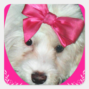 Adesivo Quadrado Puppy Love