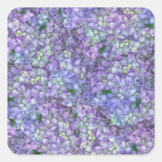 Adesivo Quadrado Purple hydrangea flowers