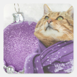 Adesivo Quadrado Purple Scarf Winter Cat Stickers