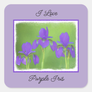 Adesivo Quadrado Púrpura Iris - Arte Flor Original