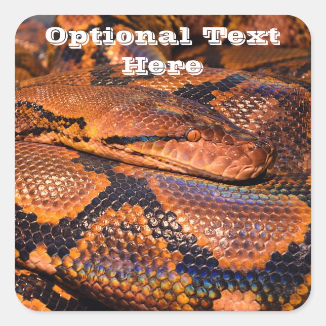 Adesivo Quadrado Python Cobra (Frente)