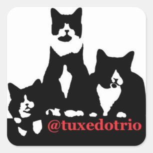 Adesivo Quadrado Quadrado de TuxedoTrio