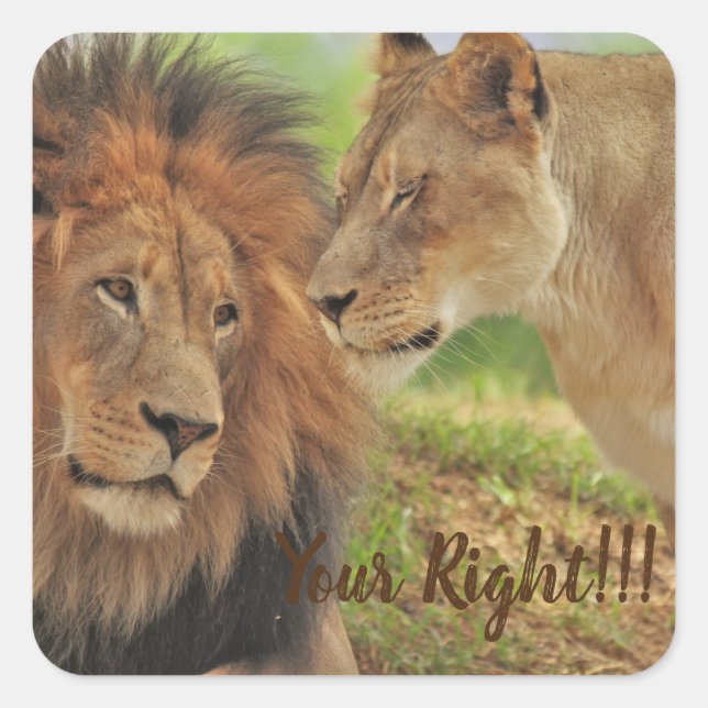 Adesivo Quadrado quando você sabe que ele tem razão (Frente)