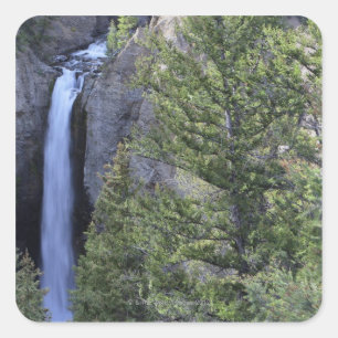 Adesivo Quadrado Quedas da torre, parque nacional de Yellowstone,