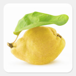 Adesivo Quadrado Quince fruta