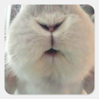 Adesivo Quadrado Quincy Kisses